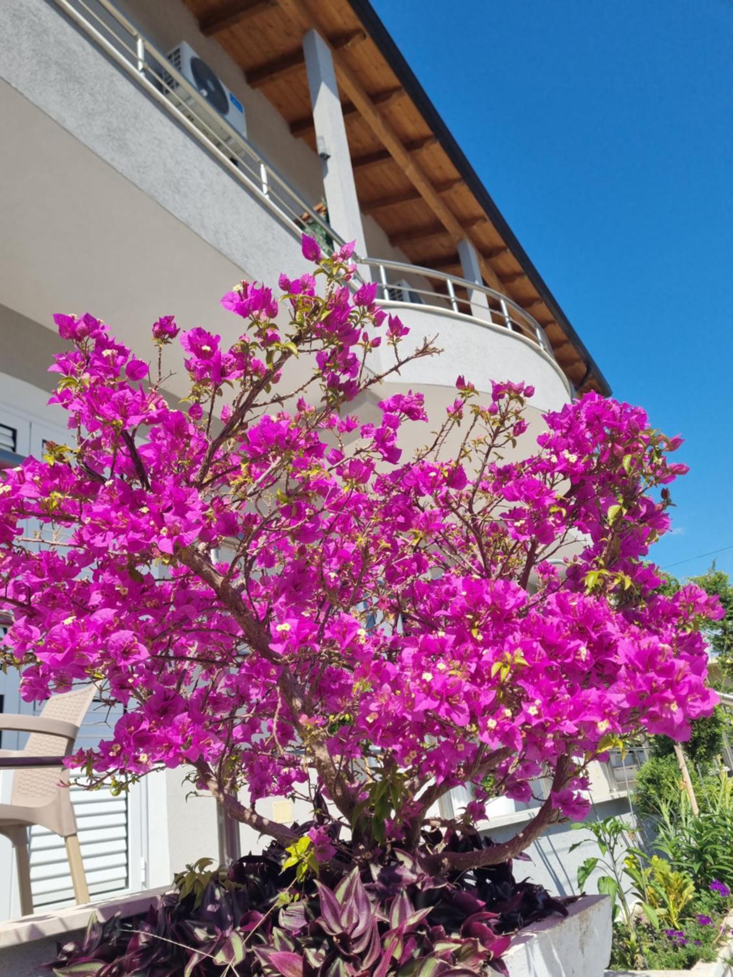 Vila Soleil Вльора Екстер'єр фото