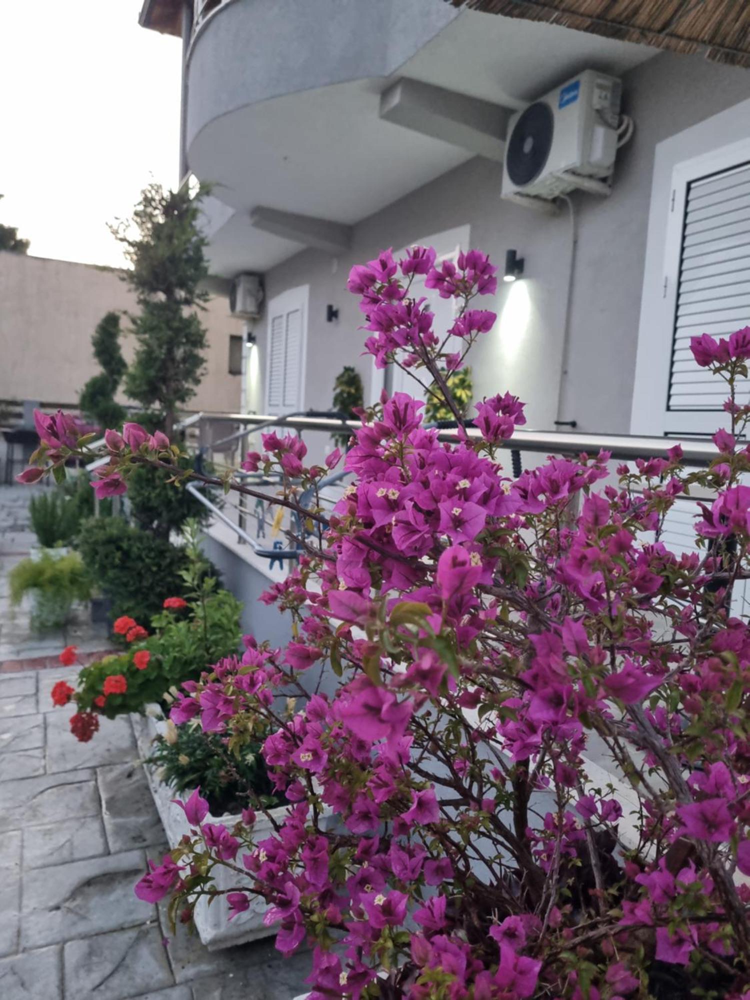 Vila Soleil Вльора Екстер'єр фото